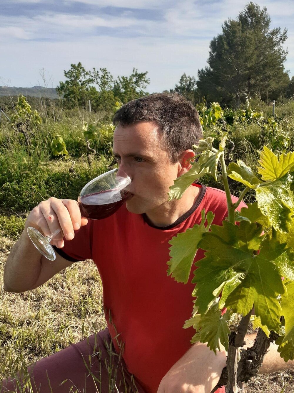 Celler Tuets