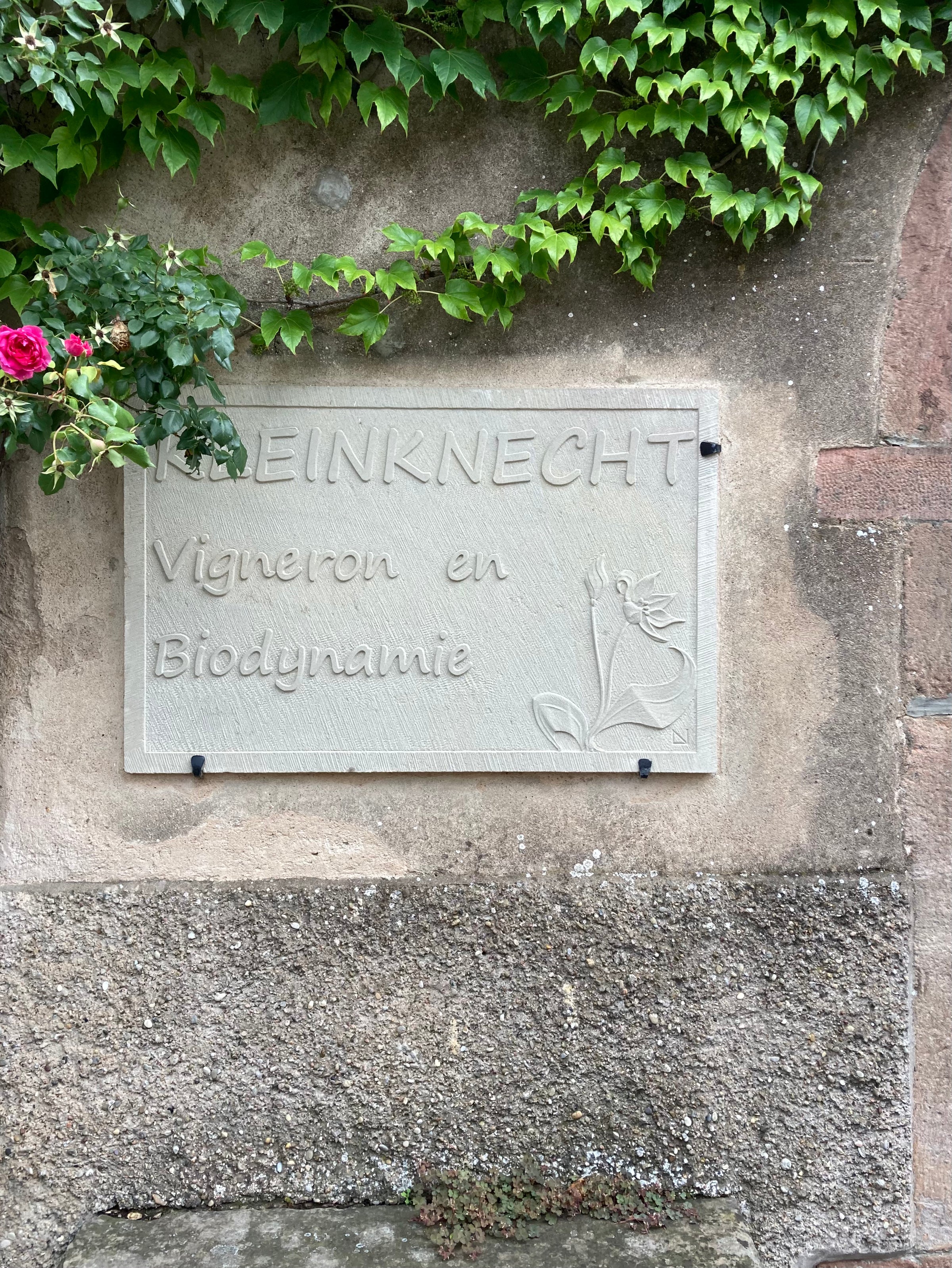 Domaine Kleinknecht