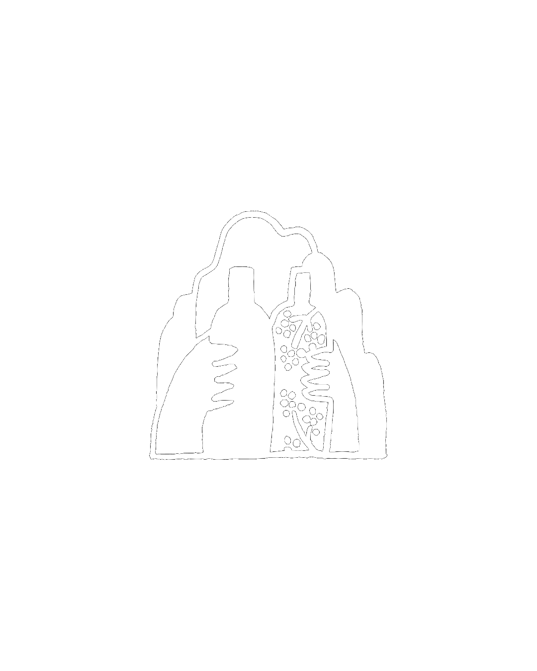 Libre Wines
